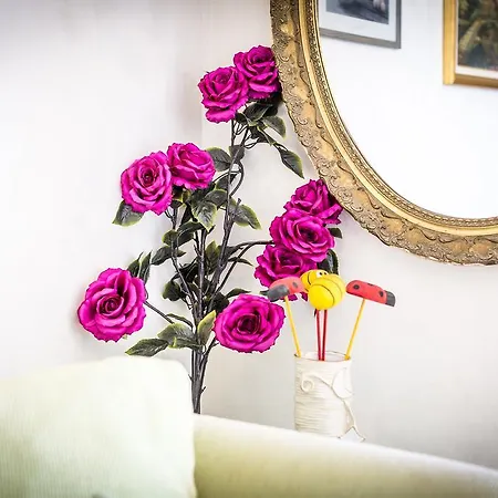 Free Spirit Διαμέρισμα *