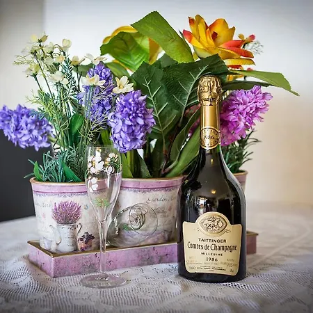 Apartment Free Spirit Split